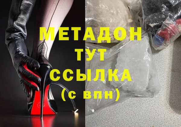прущие грибы Карпинск