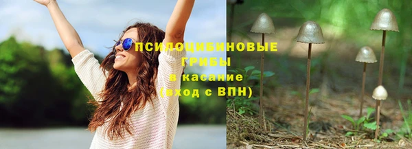 прущие грибы Карпинск