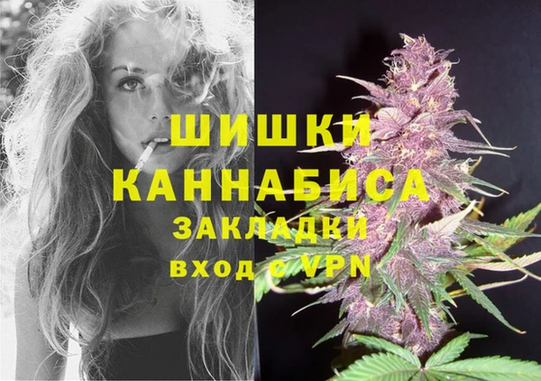 PSILOCYBIN Козловка