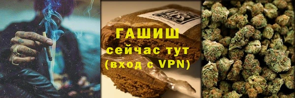 PSILOCYBIN Козловка