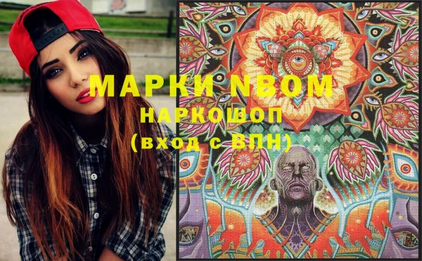 PSILOCYBIN Козловка