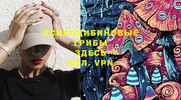 прущие грибы Карпинск